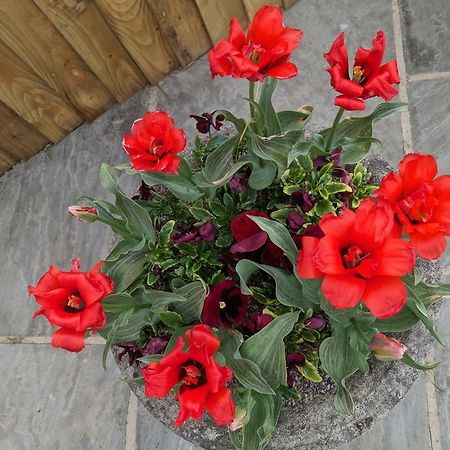 Rosegarth Bed And Breakfast Marton near Pickering Exteriör bild