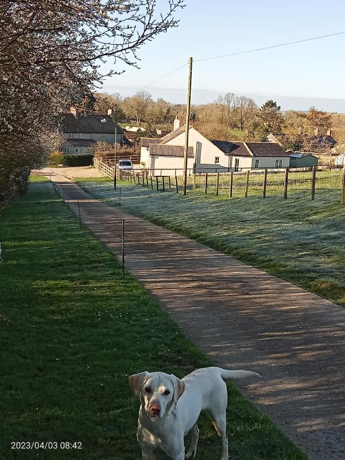 Rosegarth Bed And Breakfast Marton near Pickering Exteriör bild