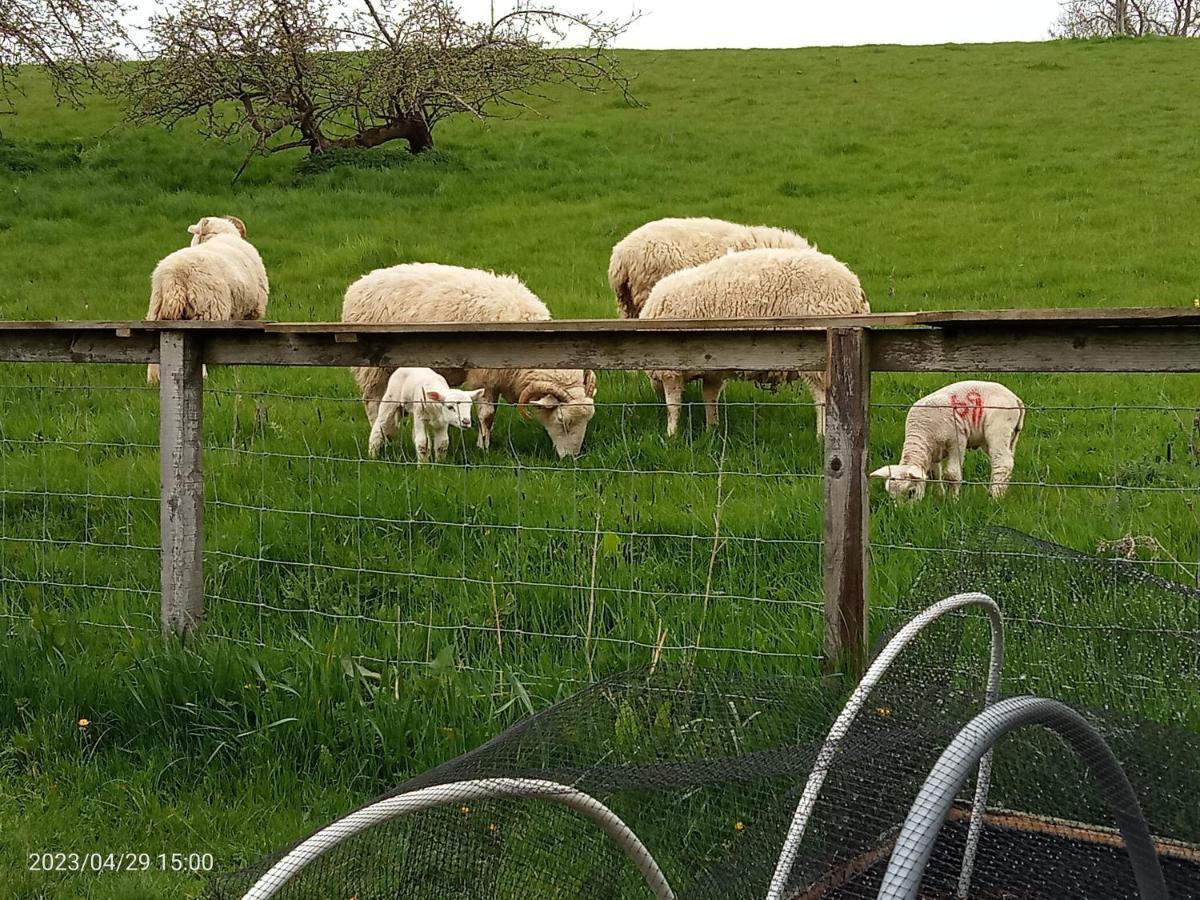 Rosegarth Bed And Breakfast Marton near Pickering Exteriör bild