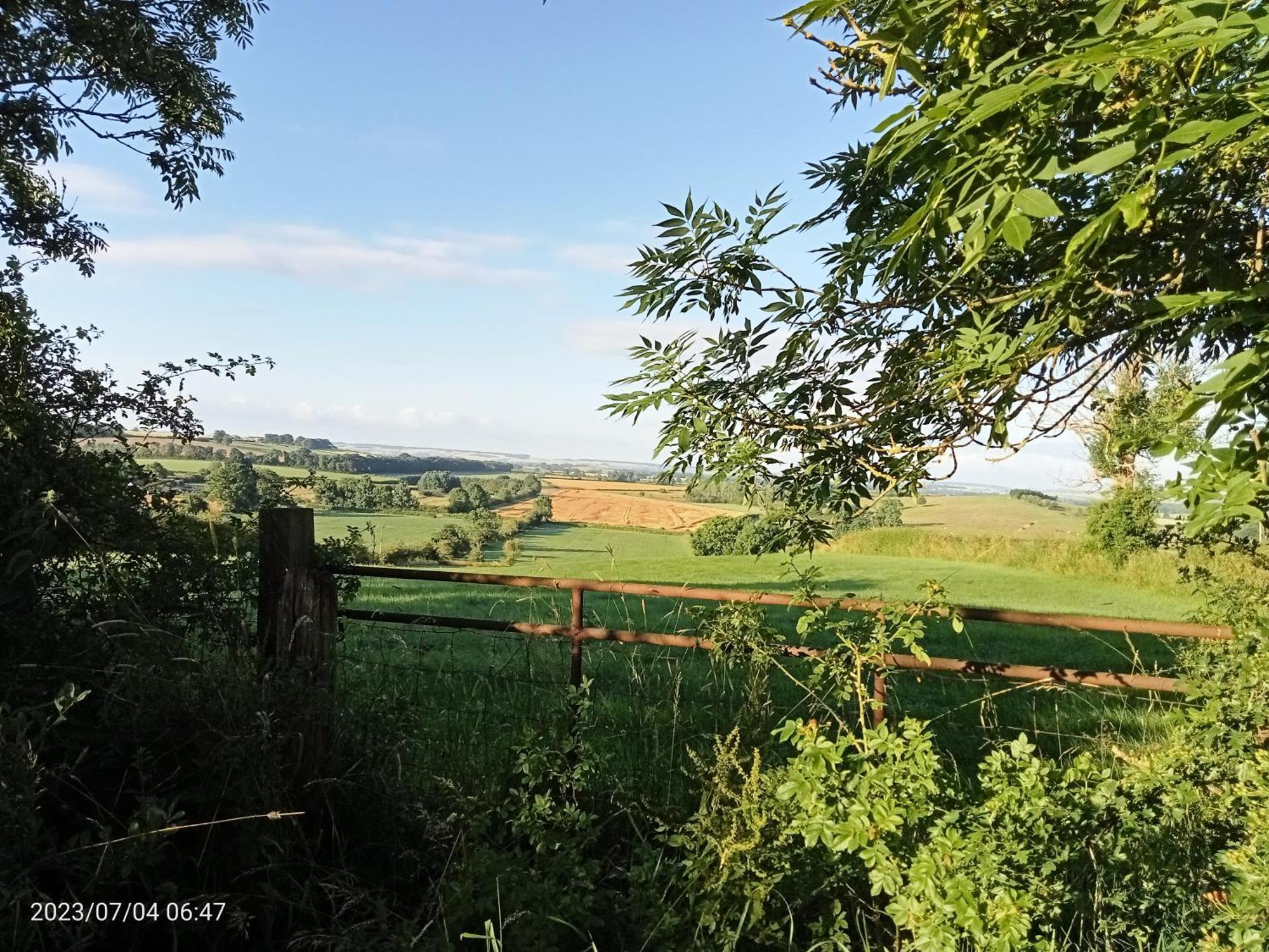 Rosegarth Bed And Breakfast Marton near Pickering Exteriör bild
