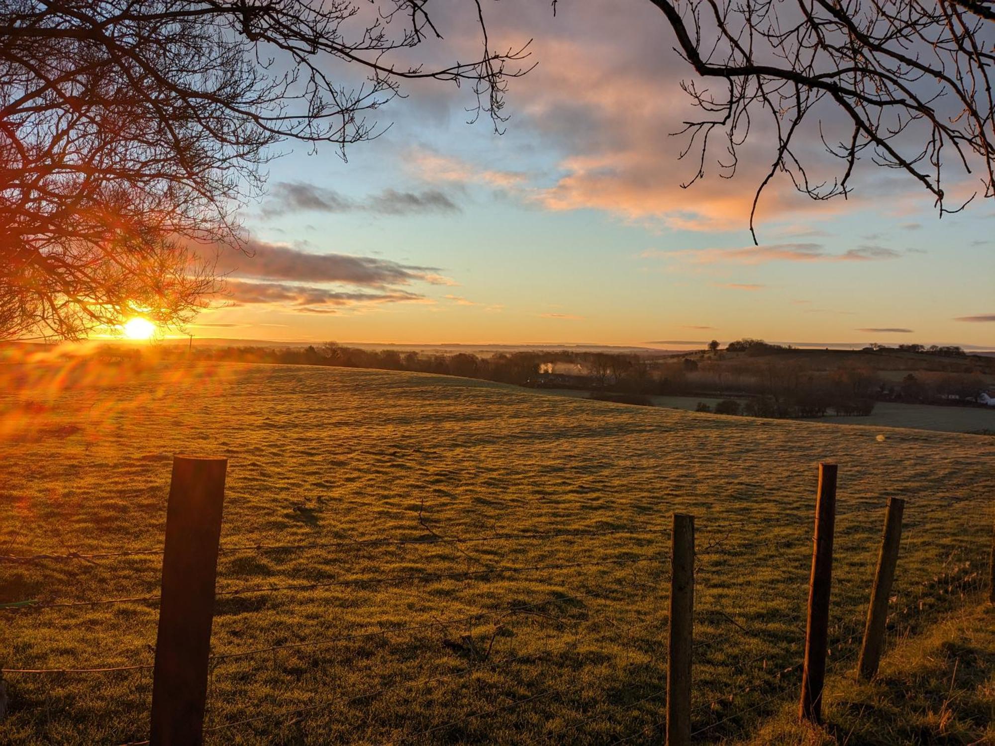 Rosegarth Bed And Breakfast Marton near Pickering Exteriör bild