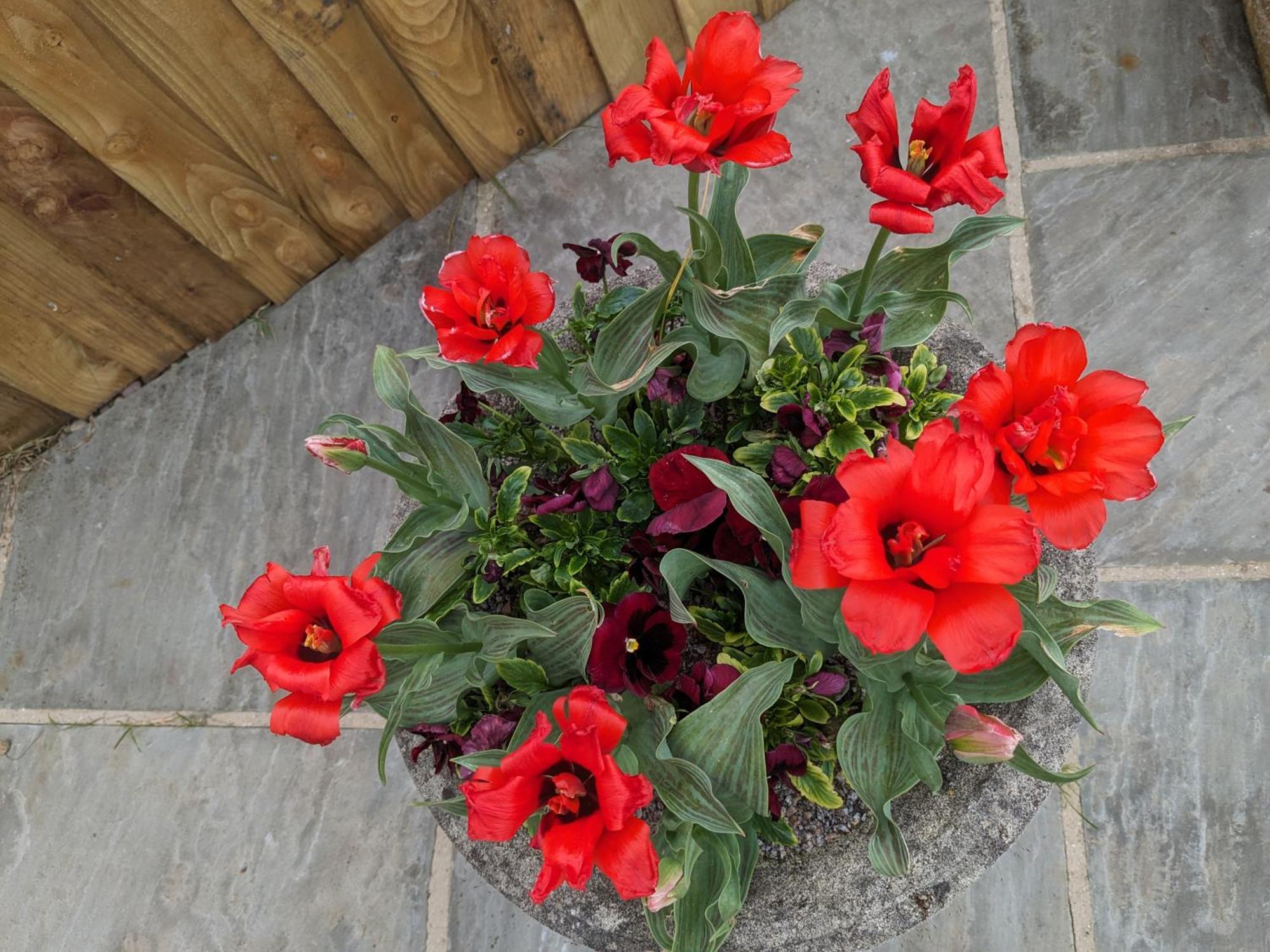 Rosegarth Bed And Breakfast Marton near Pickering Exteriör bild
